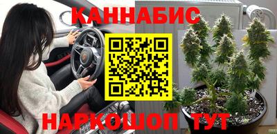 тгк Будённовск