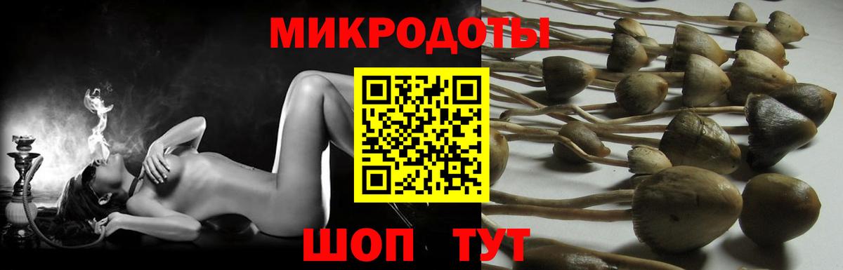 Луга  Галлюциногенные грибы прущие грибы  Вход с VPN 